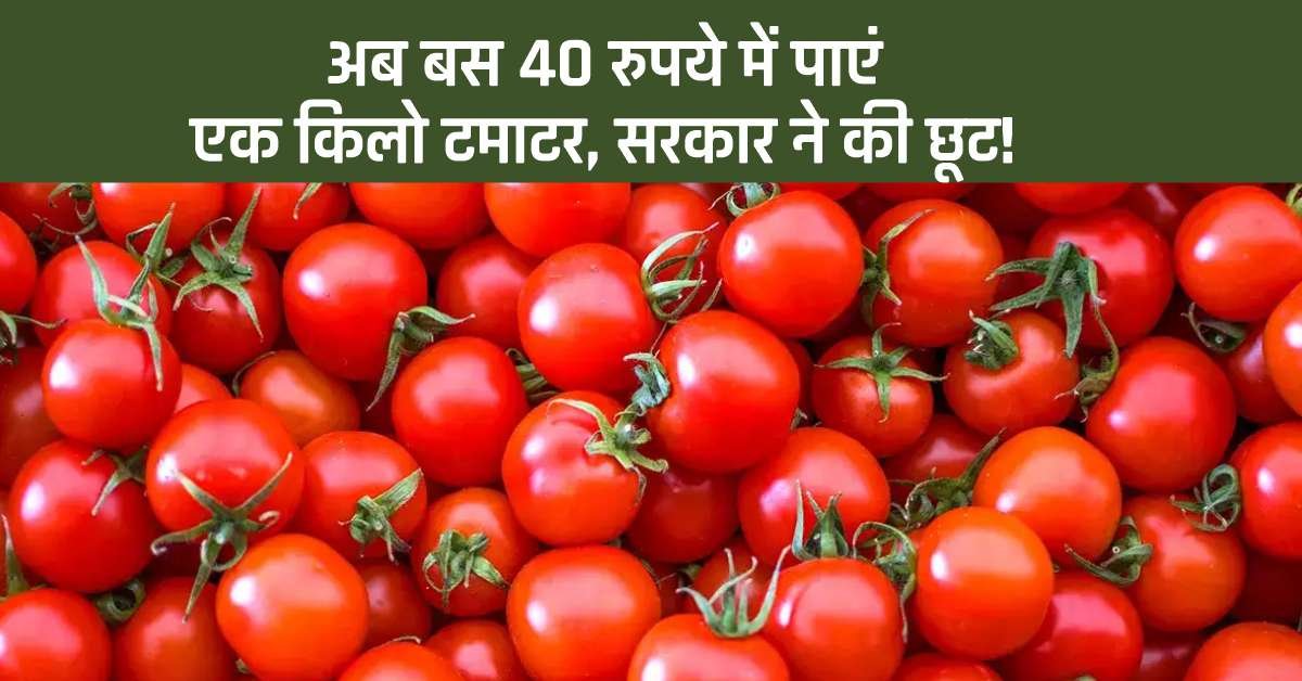 Tomato Price: अब बस 40 रुपये में पाएं एक किलो टमाटर, सरकार ने की छूट!
