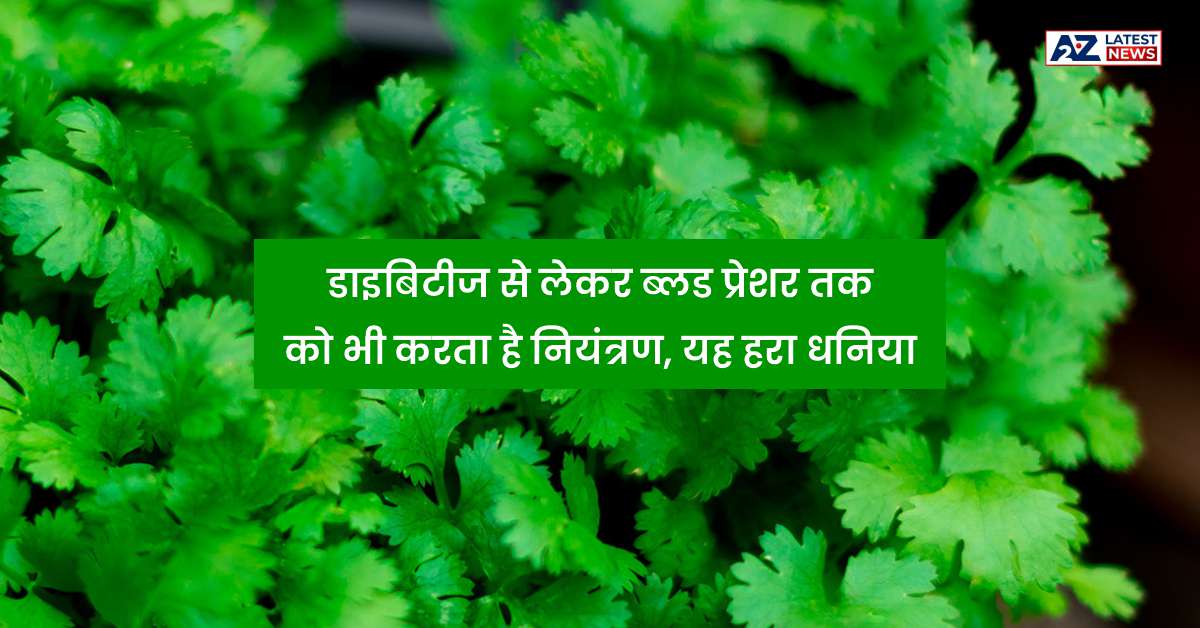 Green Coriander Benefits: डाइबिटीज से लेकर ब्लड प्रेशर तक को भी करता है नियंत्रण, जानिए यह हरा धनिया के फायदे