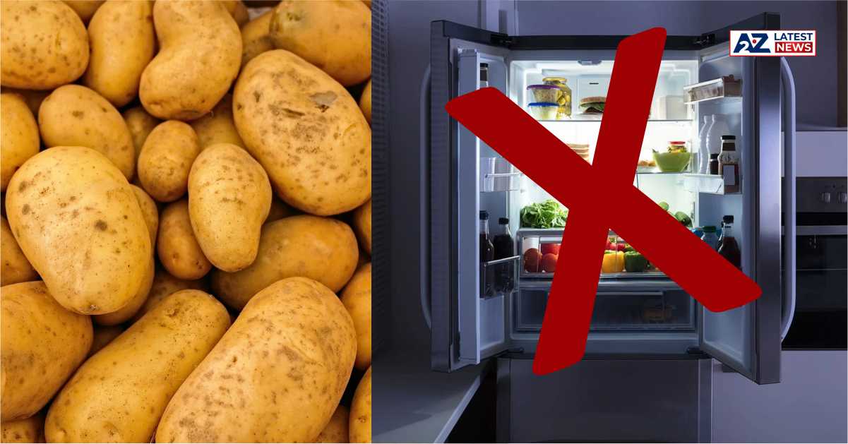 Frozen Potatoes Storage Tips: अब तक आप भी फ्रीज में रख रहे हैं आलू? तो अभी हो जाएं सावधान!
